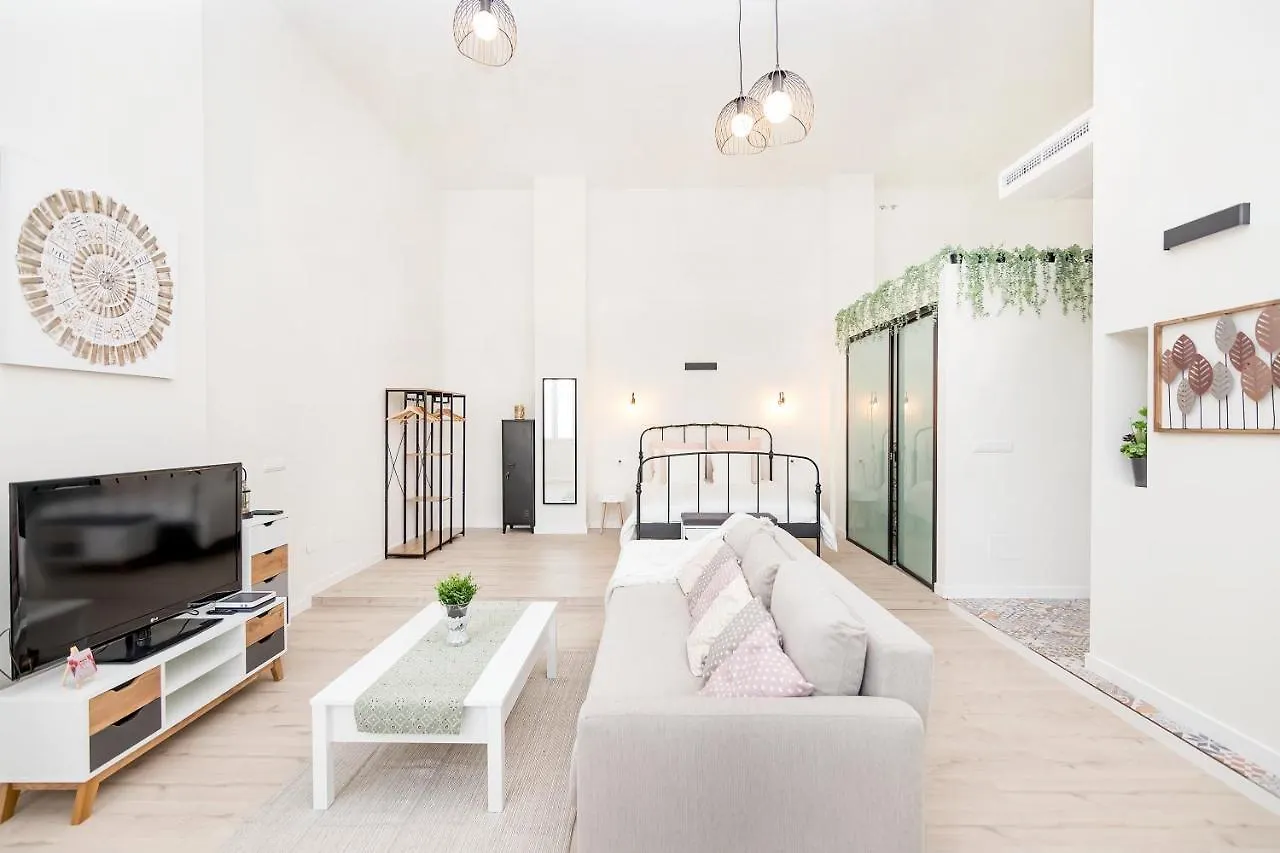 Bhost - Loft El Angel Apartment Malaga Spain